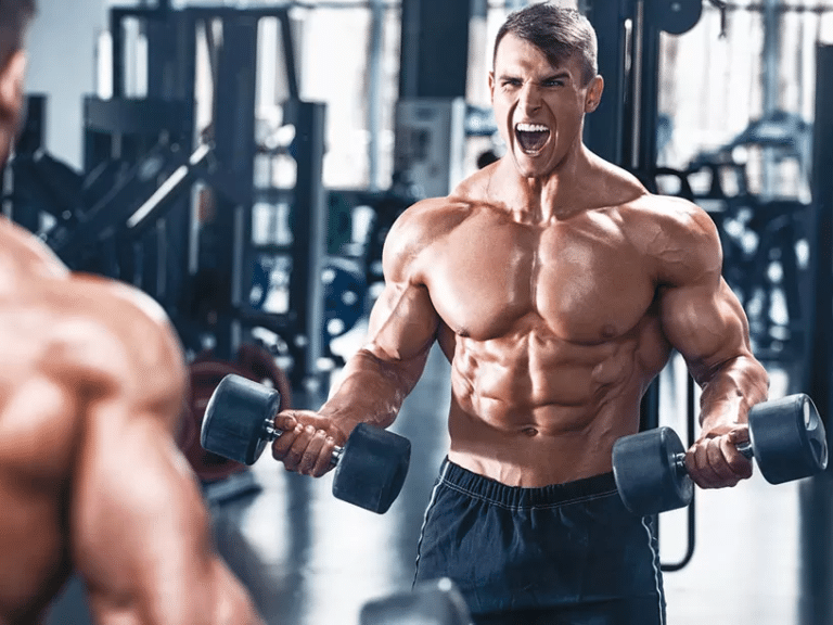 melhores pre treinos